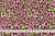 fc4lgiyl4t1maq1gaewolj5rmyv4vqko